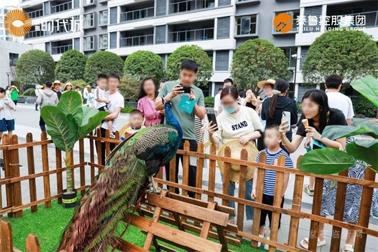 時代啟封 | 泰魯·時代城景觀園林示范區盛大開放