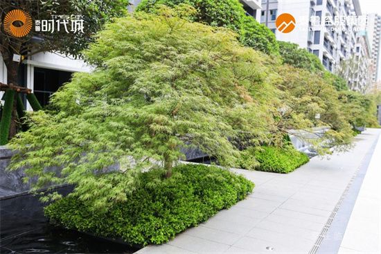 時代啟封 | 泰魯·時代城景觀園林示范區盛大開放