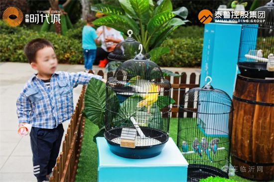 時代啟封 | 泰魯·時代城景觀園林示范區盛大開放